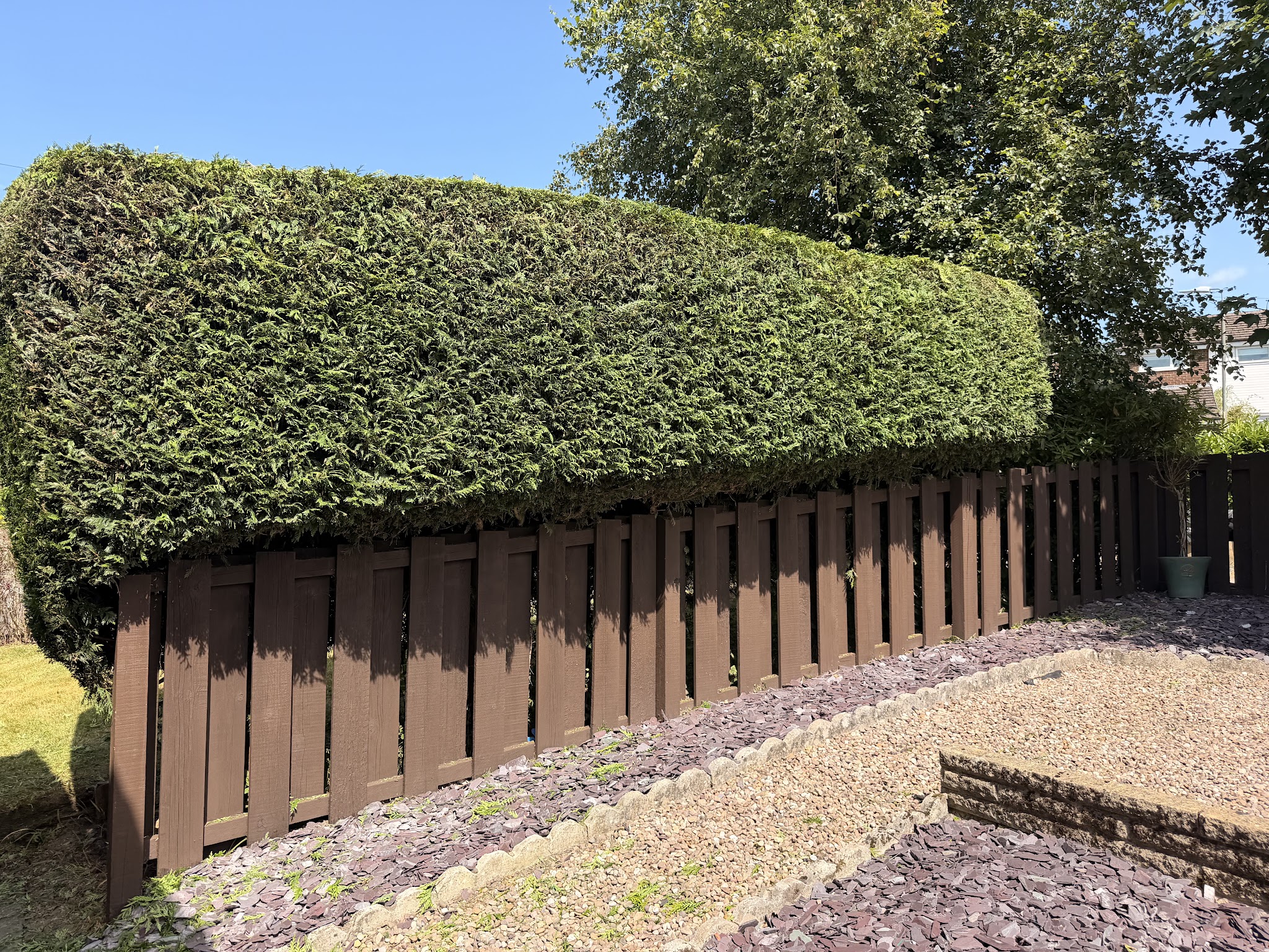 A neatly trimmed hedge above a stained fence and a gravel bed