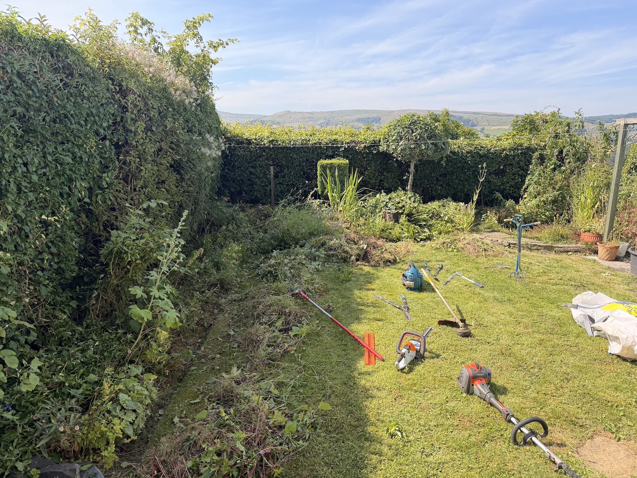 A garden hedge with tools laid on the lawn during a day's work